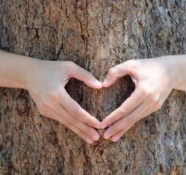 Hands making a heart shape Stock Photos