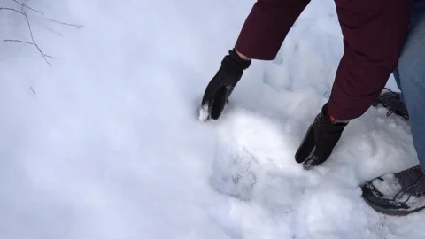 Hands making a snowball from fresh snow outdoors in winter gloves, no face  Stock Footage 326824025