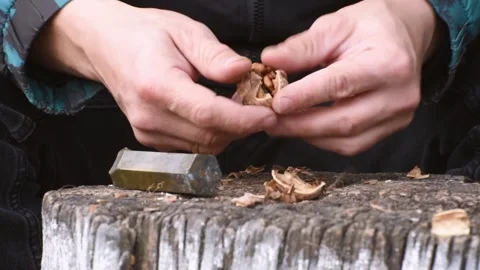 Hands of man breaking shell of walnut peeling it out , horizontal 4k footage Stock Footage 290788510