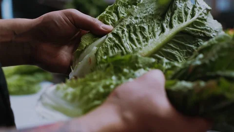 Hands man chef hold cook shares the cabbage cutting salad vegetarian preparation Stock Footage 100303304