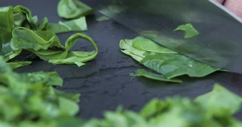 Hands of man chopping spinach Stock Footage 118762670
