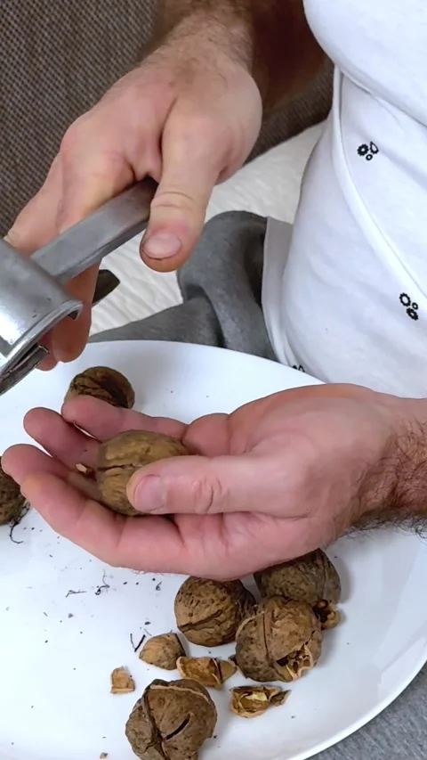 Hands of a man cracking walnuts with a nutcracker Stock Footage 323512462
