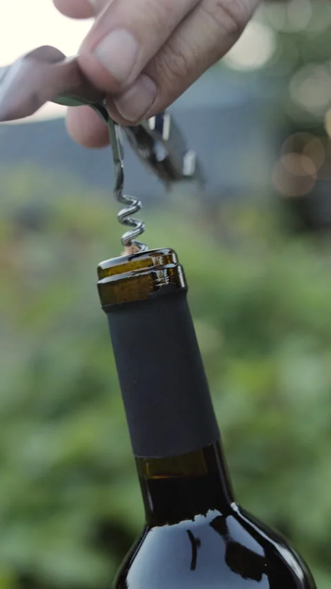 Hands of man opening bottle of red wine with a corkscrew. Vertical video. Stock Footage 279259877