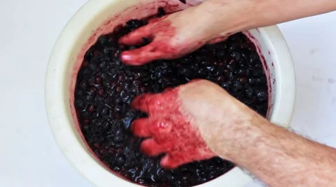 Hands Man Pressed Purple Grapes Stock Footage 8859686