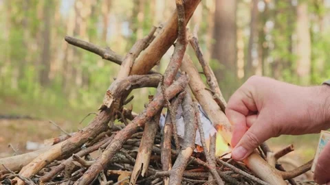 Hands of man set fire with match fire in forest made of dry branches and sticks. Stock Footage 196268847