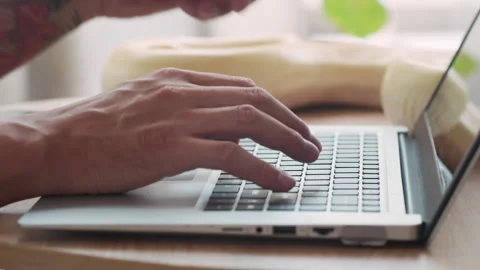Hands of Man Typing on Laptop and Stroking Albino Snake at Table Stock Footage 304540942