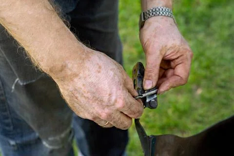 The hands of a man with vitiligo do preliminary work to repair the machine, m Stock Photos