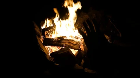 Hands of man warming up by camp fire. Body parts of adult male at nature. Stock-Footage 128724373