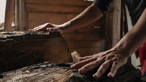 Hands of a man who pushes pine logs at a sawmill Stock Footage 108385668
