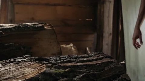 Hands of a man who pushes pine logs at a sawmill Stock Footage 108385766