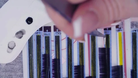 Hands of the master taking lashes from the set Stock Footage 88584074