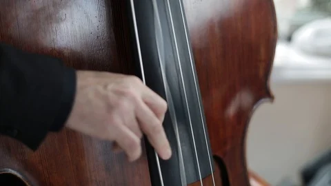 The hands of men play the big double bass and cello Stock Footage 95985399