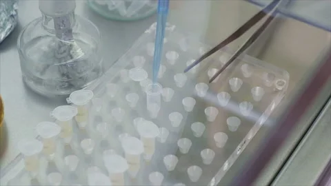 Hands of a microbiologist are poured a new type of antibiotic Stock Footage 103722253