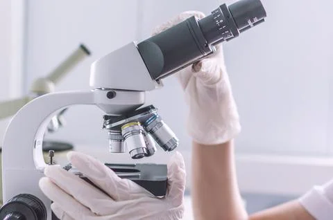 Hands with microscope in the laboratory Fotos de archivo