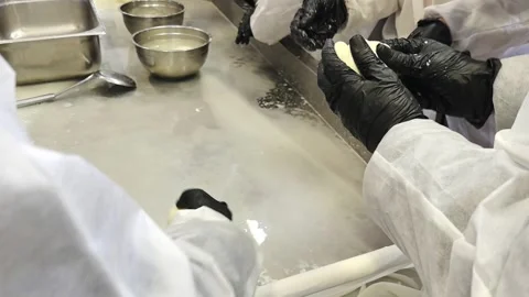 Hands mixing ingredients in a kitchen during a cooking class Stock Footage 325731233