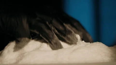 Hands mixing salt Stock Footage 125458683