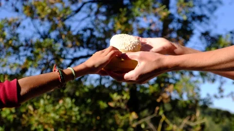 Hands of mother and son choosing between fruit and industrial pastries Stock Footage 222202433