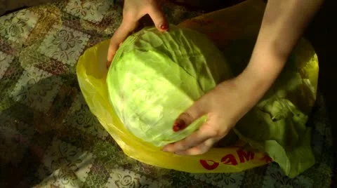 Hands of mother clear a head of cabbage for further preparation Stockbeeldmateriaal 11974073