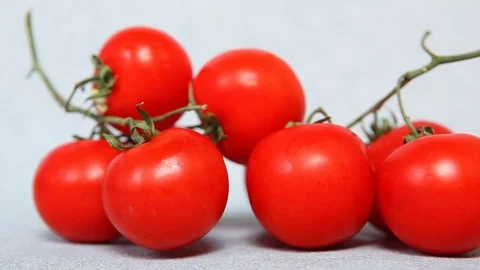 Hands move tomatoes and make free copy space Stock Footage 75912901