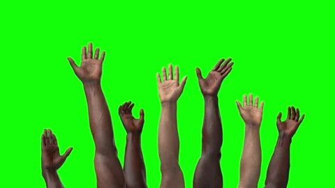 Hands  multiethnic people vote. Teamwork businesspeople diversity Stock Footage 194939857