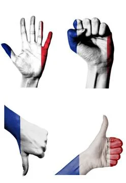 Hands with multiple gestures (open palm, closed fist, thumbs up and down) wit 스톡 일러스트