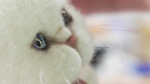 In the hands of needlewoman - soft toy in the form of a white kitten, Stock Footage
