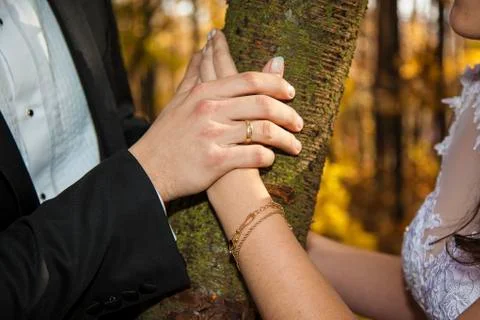 Hands of newlyweds Stock Photos