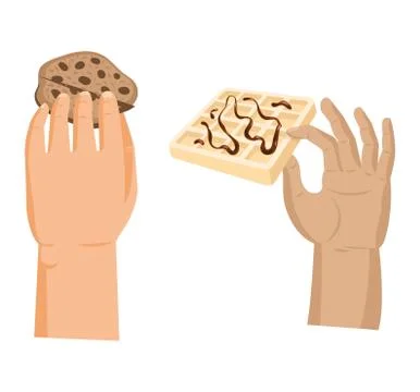 Hands offers sweetness with cake vector arm holding chocolate confectionery Illustration