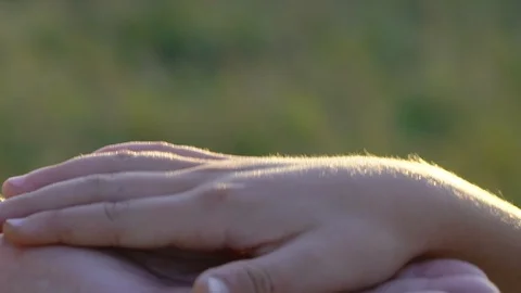 Hands of old man and young boy in the park at sunset, slow motion  3 動画素材 95955806
