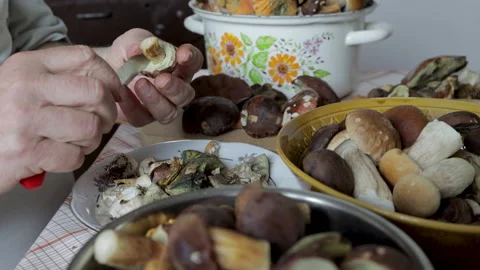 Hands of old man cleaning dirty mushrooms with knife after mushrooming Stock Footage 141295115