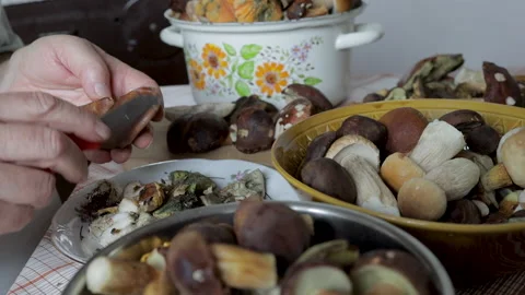 Hands of old man cleaning dirty mushrooms with knife after mushrooming Stock Footage 141295191