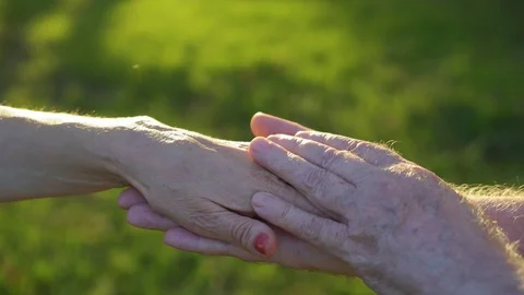 Hands of old man touching woman's hands in the park at sunset, 4k 2 動画素材 95679612