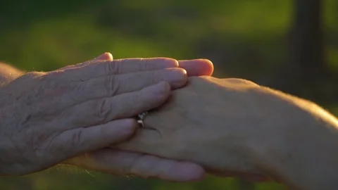Hands of old man touching woman's hands in the park at sunset, 4k 1 Stock Footage 95679677