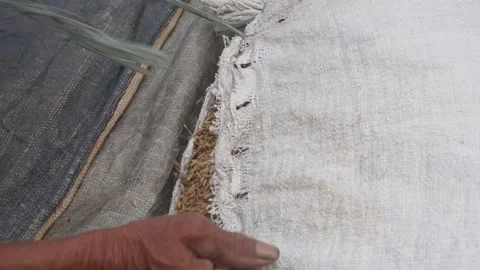 The hands of an old man untying the rope of a sack containing rice Stock Footage 316923324