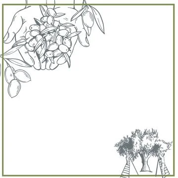 Hands with olives.  Vector background. Stock Illustration