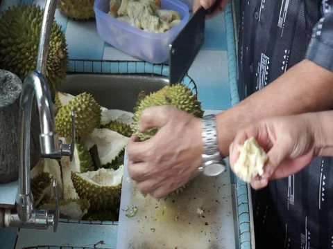 The hands open the durian fruit carefully. Stock Footage 92207828