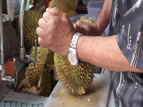 The hands open the durian fruit carefully. Stock Footage 92207865
