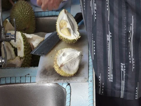 The hands open the durian fruit carefully. Stock Footage 92207887