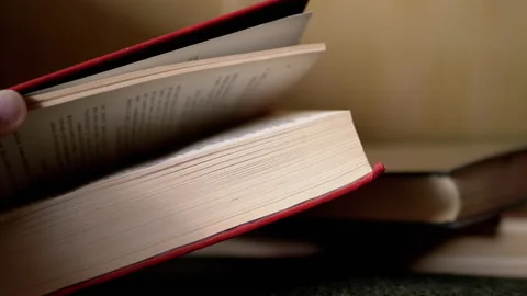 Hands Open a Thick Red Book Turning through it against a Blurred Background. 4K Vídeos de archivo 236062560