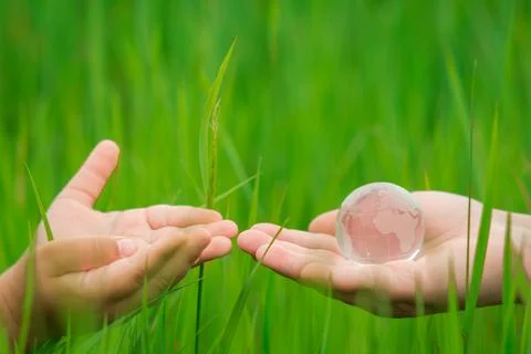 Hands Passing Glass Globe Sphere over Green Grass Nature Fotos Stock