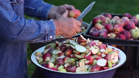 Hands Peeling and Cutting Apples for Autumn Preserving Stock Footage 346247524