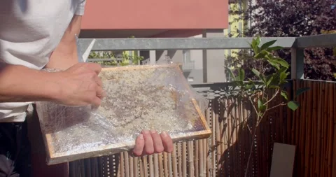 Hands peeling clear plastic wrap from wooden tray on sunny balcony with bamboo Stock Footage 344885056