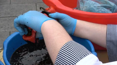 Hands peeling cooked red peppers Video stock 141036530