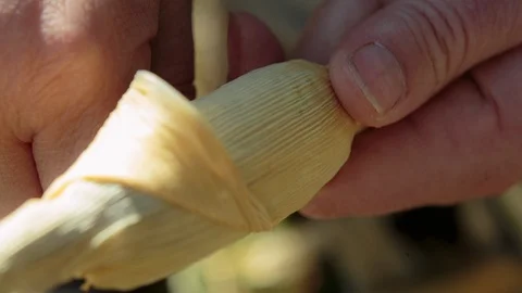 Hands peeling corn on the cob Vídeos de archivo 94883095
