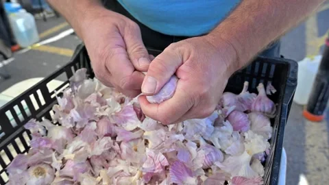 Hands Peeling Fresh Garlic Bulbs During Food Preparation Video stock 346783810