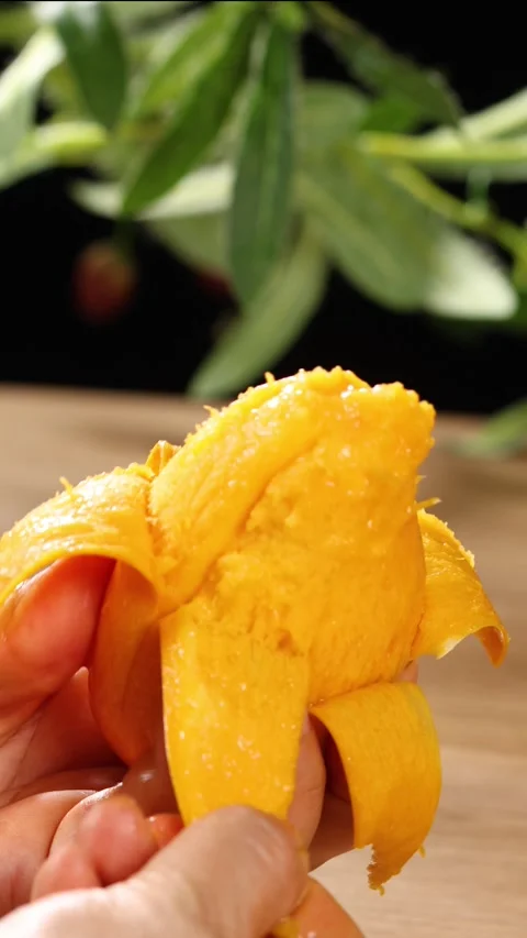 Hands Peeling Fresh Ripe Yellow Mango Close Up Stock Footage 341926258