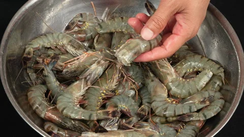Hands Peeling Fresh Vietnamese Black Tiger Shrimp Vídeos de archivo 337056673