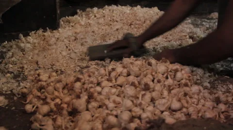 Hands peeling garlic with small stick Vídeos de archivo 68928991