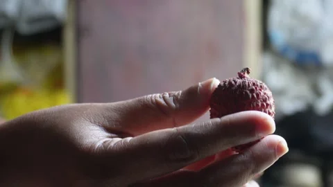 Hands Peeling Lychee Stock Footage 335215551
