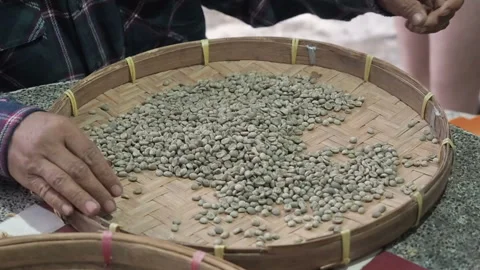 Hands of a people sorting through arabica coffee beans in round wicker threshing Stock Footage 112083651